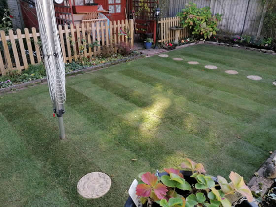 besoke lawn laying Dorset, Wiltshire and Hampshire