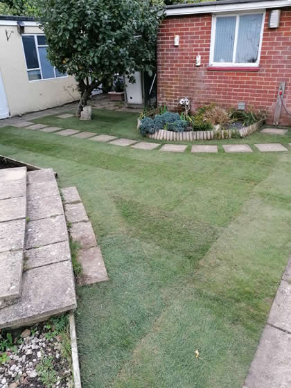 another besoke lawn laying Dorset, Wiltshire and Hampshire